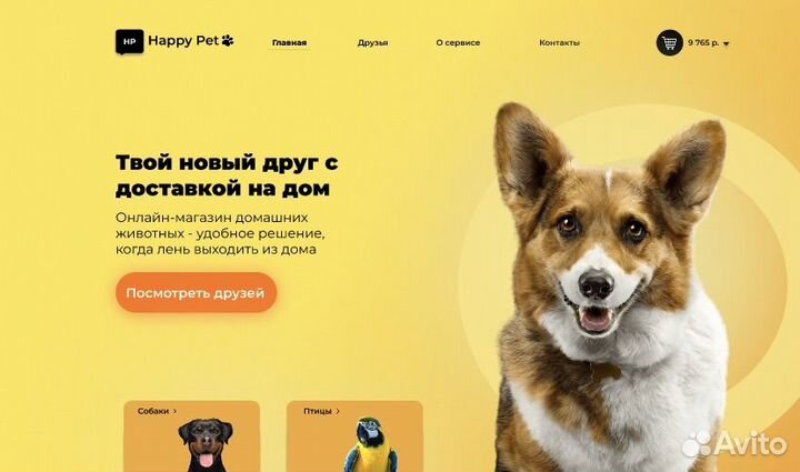 Веб дизайнер