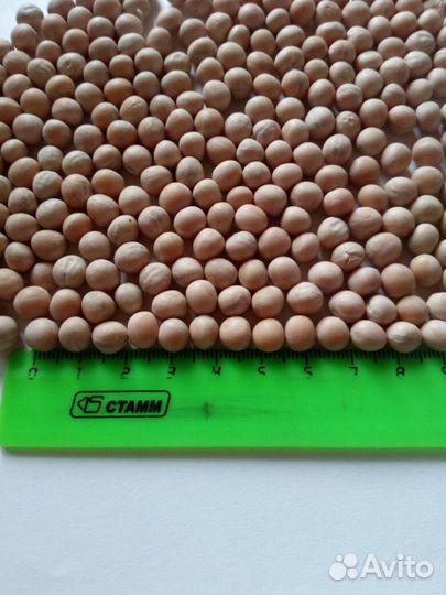 Овес.Горох. Ячмень.Пшеница.Лён.Семена