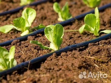 Система капельного полива 