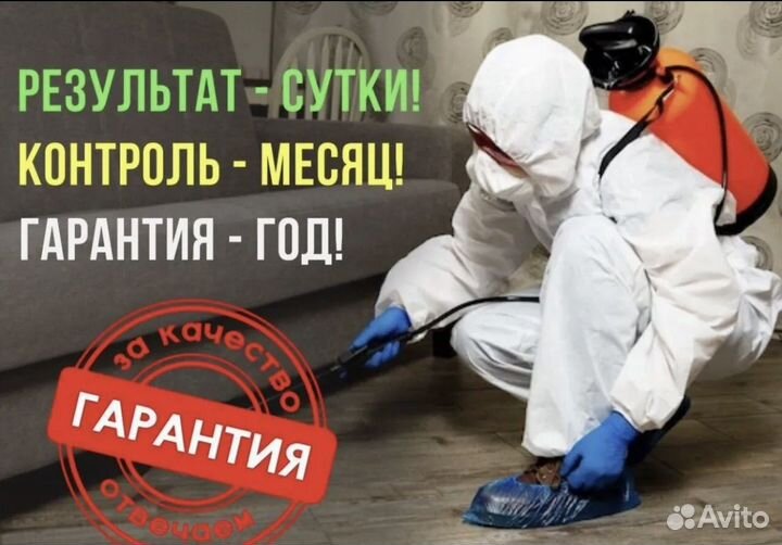 Уничтожение насекомых клопов тараканов