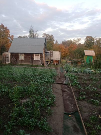 Участок 6 сот. (СНТ, ДНП)