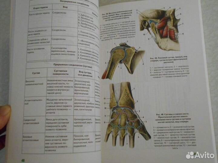 Г.Л.Билич, В.А.Крыжановский Анатомия человека