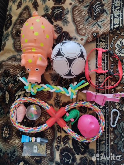 Для собак и кошек