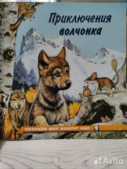 Серия книг познаём мир вокруг нас