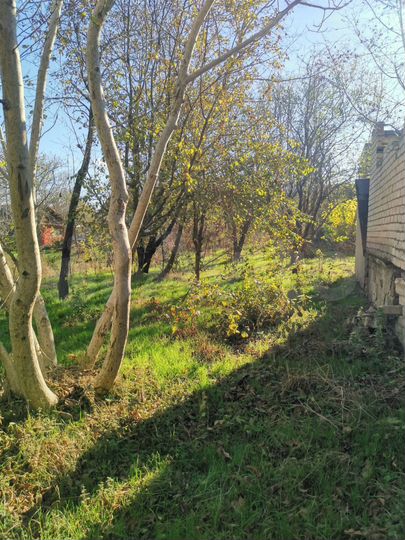 Участок 9 сот. (СНТ, ДНП)