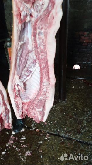 Свиньи на мясо