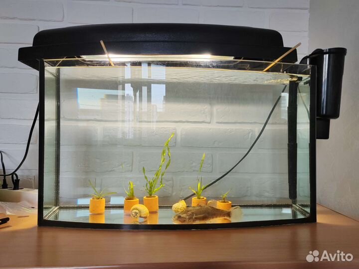 Аквариум 40 литров и оборудование
