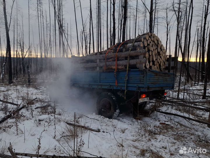 Продам дрова сухие