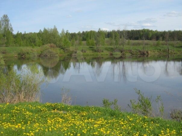 Участок 1,2 га (ИЖС)