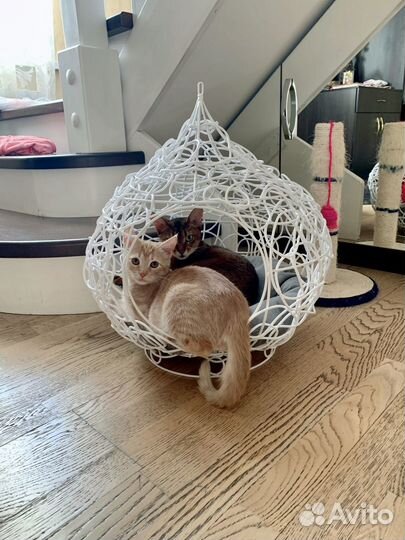 Домик для собак и кошек Кокон