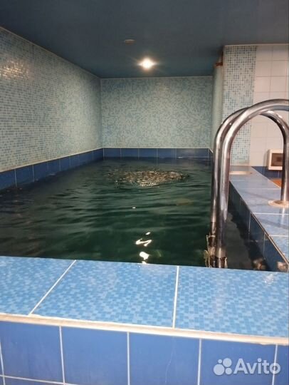 Баня сауна с бассейном круглосуточно