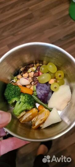 Передержка птиц, попугаев, грызунов. цао