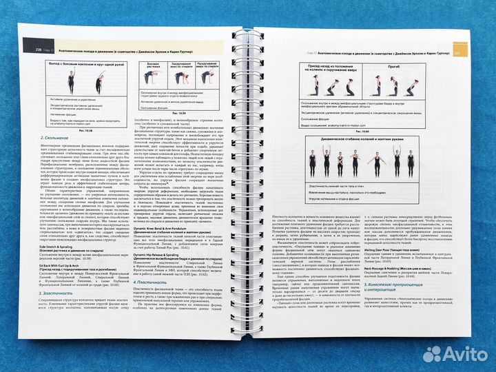 Анатомические поезда. 4-е издание