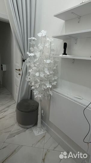 Декоративные деревья