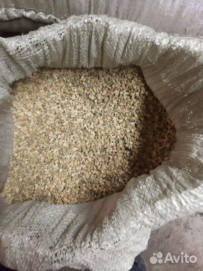 Кормовая свекла Эккендорская Николаев рынок