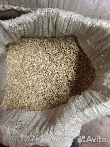 Кормовая свекла Эккендорская Николаев рынок