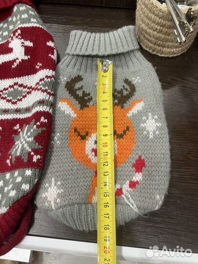 Одежда для маленьких пород собак