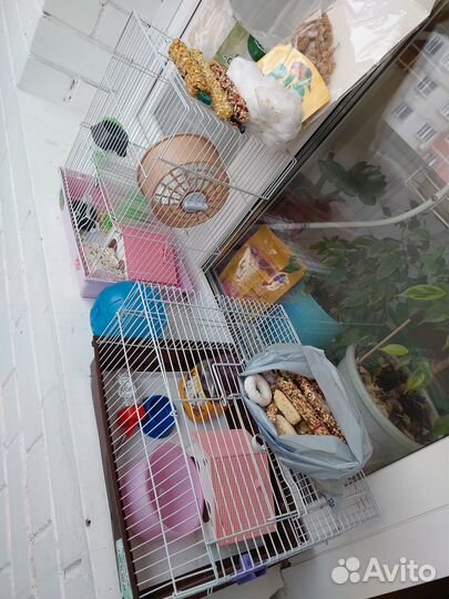 2 Клетки для птиц и грызунов