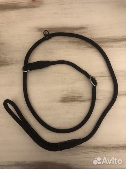 Ринговка для собак