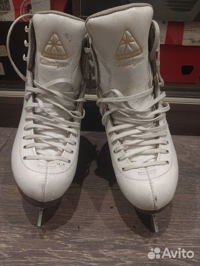 Фигурные коньки Jackson
