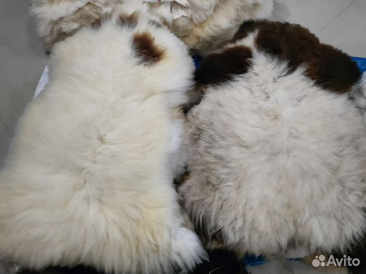 Овечья шкура 1,2-1,3 метра