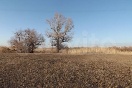 Участок 36 га (СНТ, ДНП)