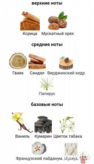 Xerjoff Casamorati 1888 Bouquet Ideale