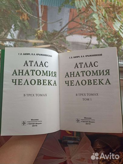 Атлас по анатомии