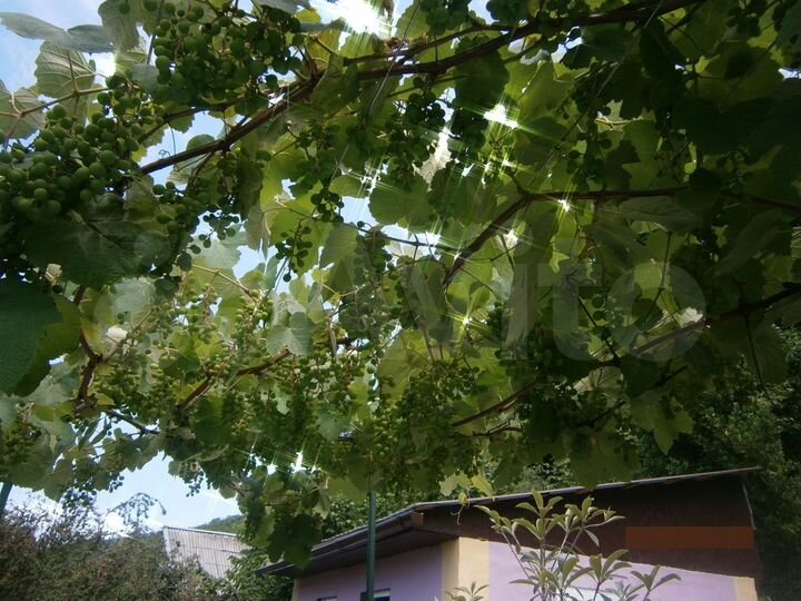 Коттедж 20 м² на участке 7 сот.