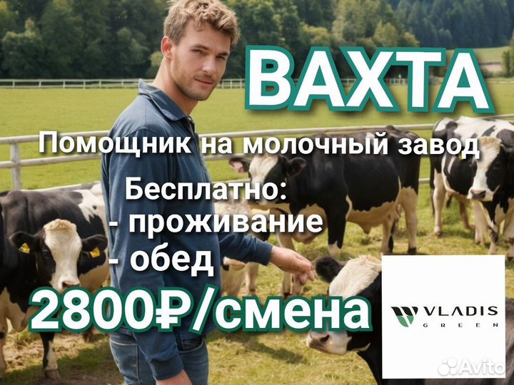 Помощник скотника Вахта проживание питание Д053