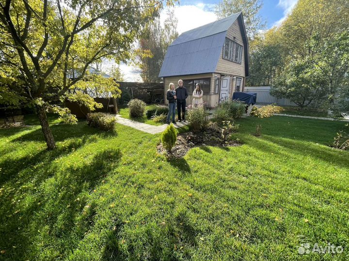 Рулонный газон для дачи и сада