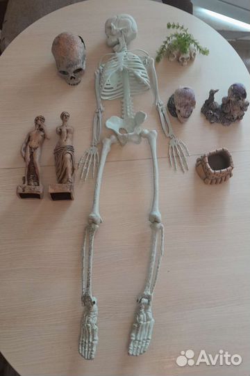 Декорации для аквариума