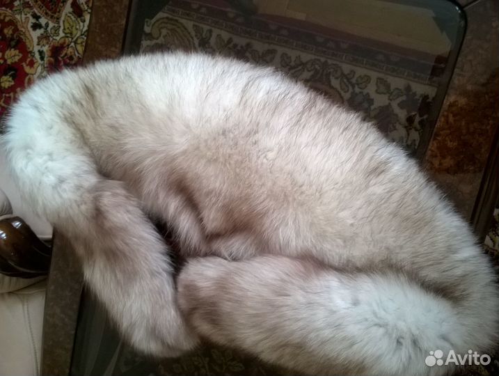 Песцовый воротник