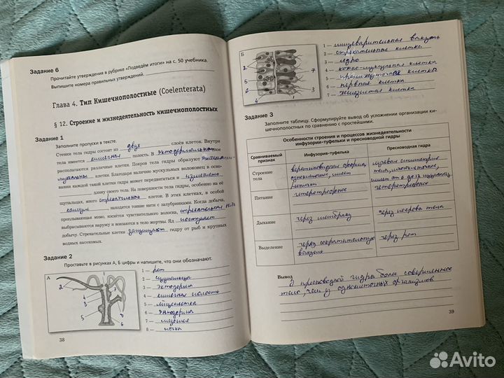 Рабочая тетрадь 1 биология 7 класс