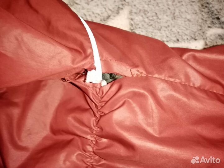 Дождевик для маленькой собаки