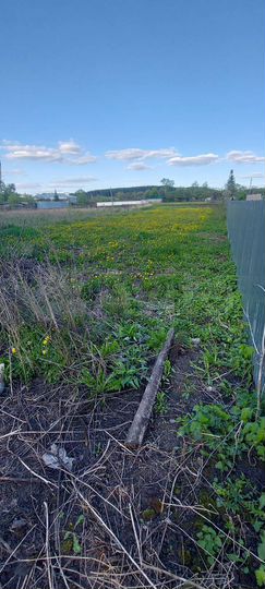 Дом 50 м² на участке 14 сот.