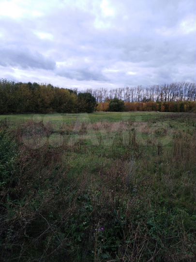 Участок 50 сот. (ИЖС)