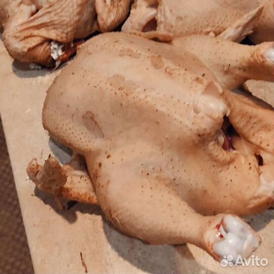 Мясо домашних уток,гусей,кур