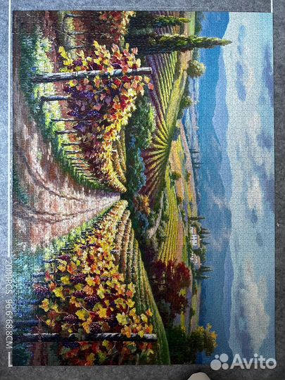 Пазл 3000 деталей