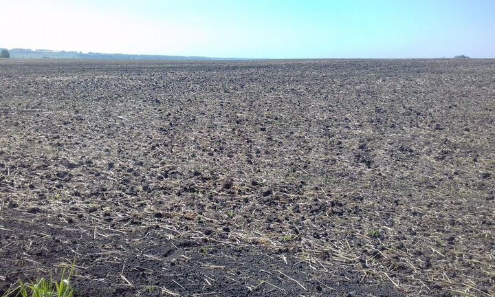 Участок 18 га (СНТ, ДНП)