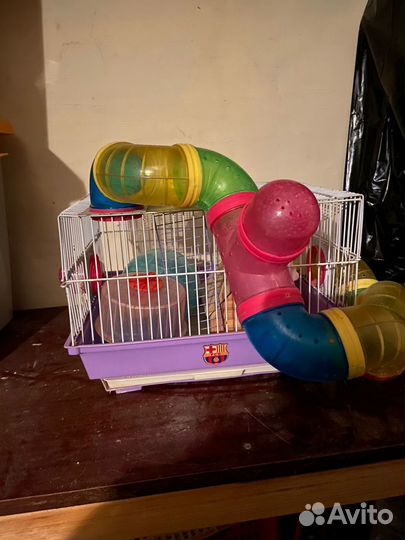 Клетка для грызунов