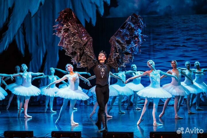 Билеты на Лебединое озеро