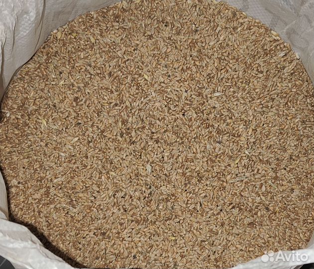 Продаётся пшеница
