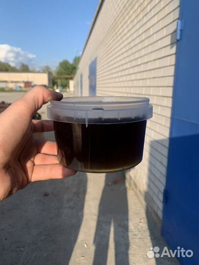 Гречишный мёд