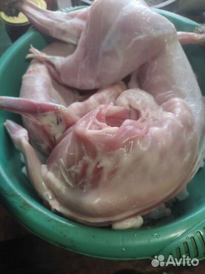 Мясо кролика