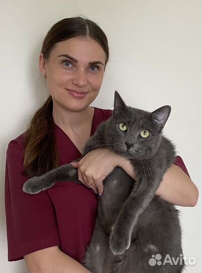 Стрижка собак и кошек ЖК Суворовский