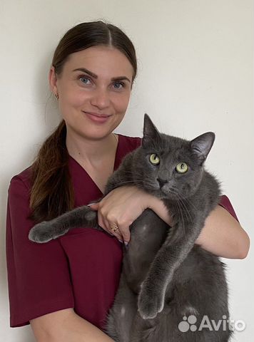 Стрижка собак и кошек ЖК Суворовский