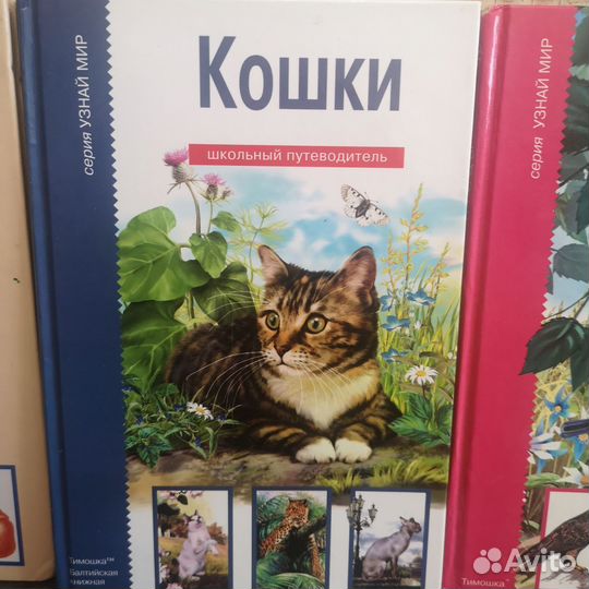 Комплект энциклопедий