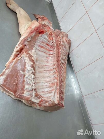 Мясо свинина оптом