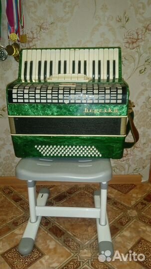 Аккордеон березка